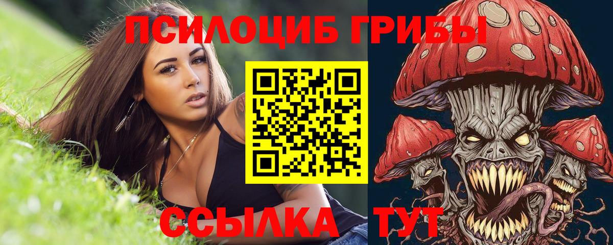 Галлюциногенные грибы ЛСД  как найти закладки  Алексеевка  Вход с VPN 
