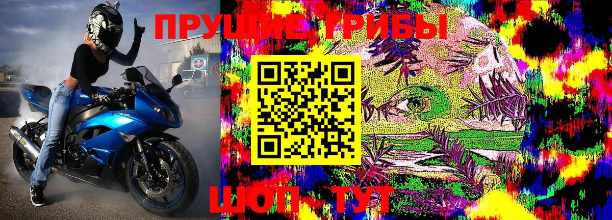 Псилоцибиновые грибы Cubensis Алексеевка